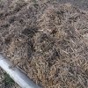 kompost9